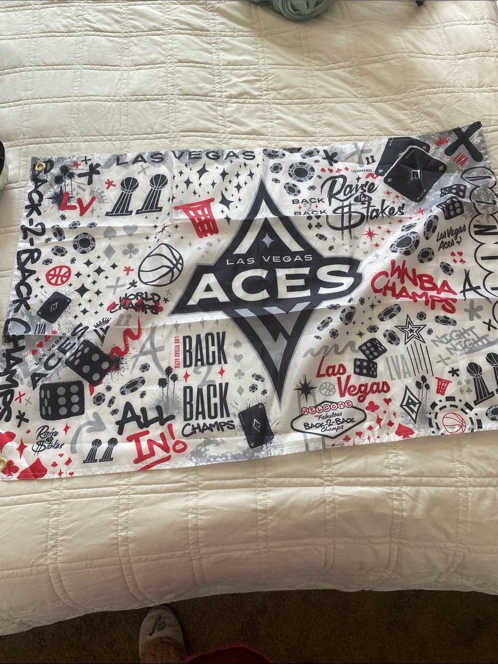 Las Vegas ACES flag